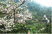mot-so-hoat-dong-cua-hiep-hoi-van-tai-tp-ha-noi-da
